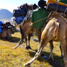 Mongolia-altai-peaks-tavan-bogd-national-park-camels-sherpas-thegeneralist